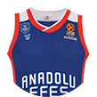Das Trikot von Anadolu Efes.