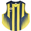 Das Trikot von Fenerbahçe.