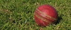 Ein Cricketball auf dem Rasen.