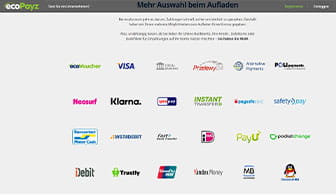 Die verschiedenen Möglichkeiten für eine Einzahlung auf der Seite von ecoPayz.