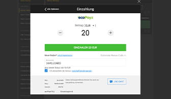 Der Einzahlungsbereich auf der Seite von bwin mit einer beantragten Einzahlung via ecoPayz für 20€.