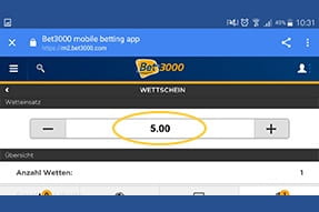 Tragt im Wettschein den gewünschten Einsatz ein