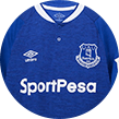 Trikot vom FC Everton.