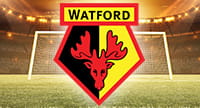 Das Logo vom FC Watford und im Hintergrund ein Stadion.