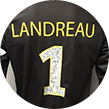 Trikot von Mickaël Landreau.