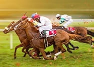 Mehrere Pferde mit Jockeys beim Pferderennen in Aktion.