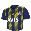 Das Trikot von Fenerbahce.